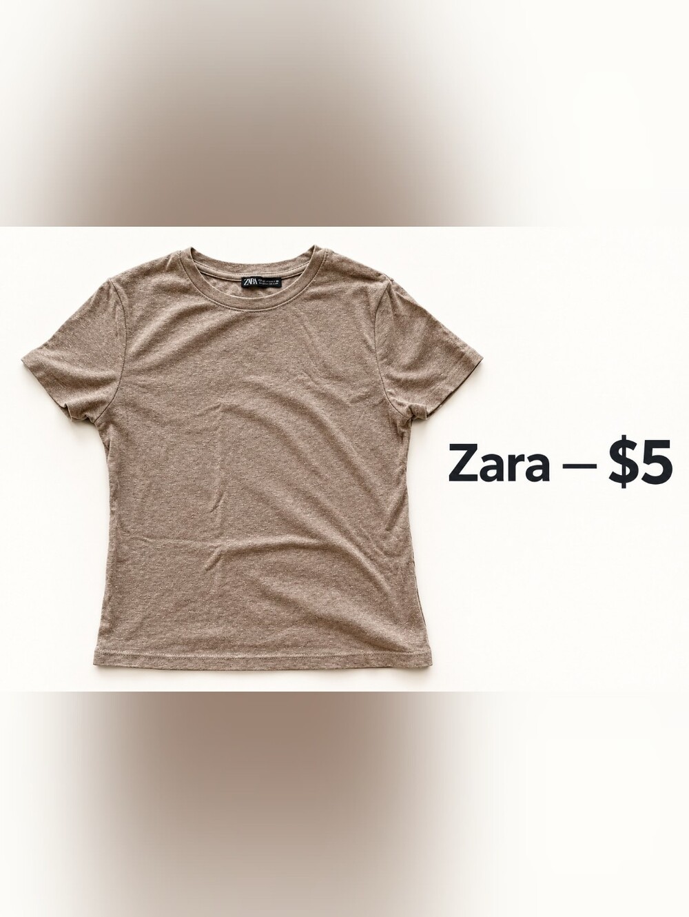 Zara Short Sleeve Crewneck T-Shirt in Taupe Brown